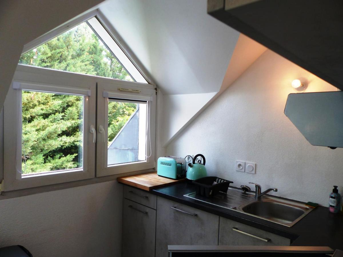 Magnifique T1 Bis Triangle D Or - Parking - Wifi Appartement Annecy Buitenkant foto